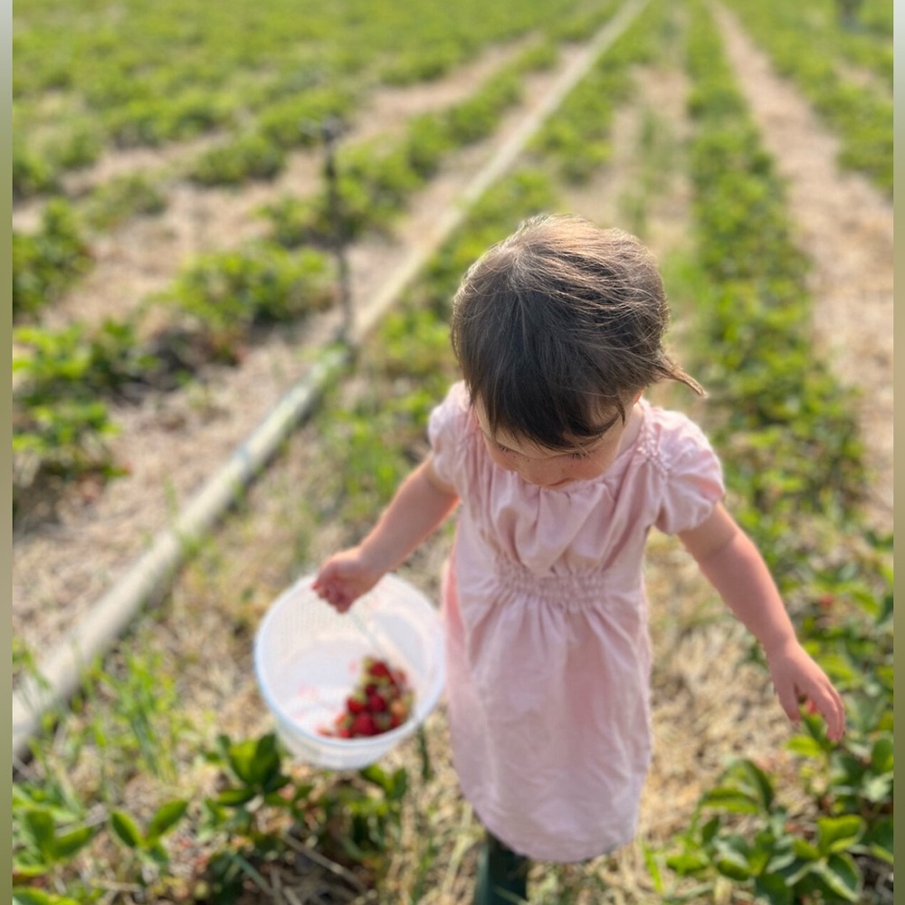 Mabo pink linen dress